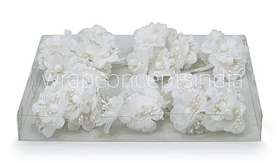 White Flowers on stick with ball & pollen White Flowers on stick with ball & pollen
