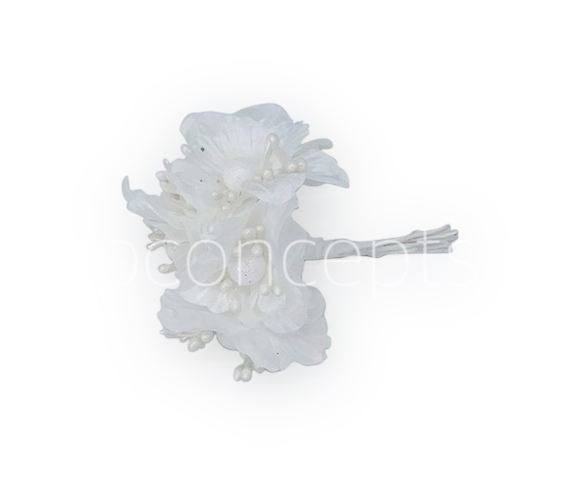 White Flowers on stick with ball & pollen White Flowers on stick with ball & pollen