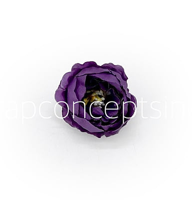 Purple & Violet Shaded Peonies Purple & Violet Shaded Peonies