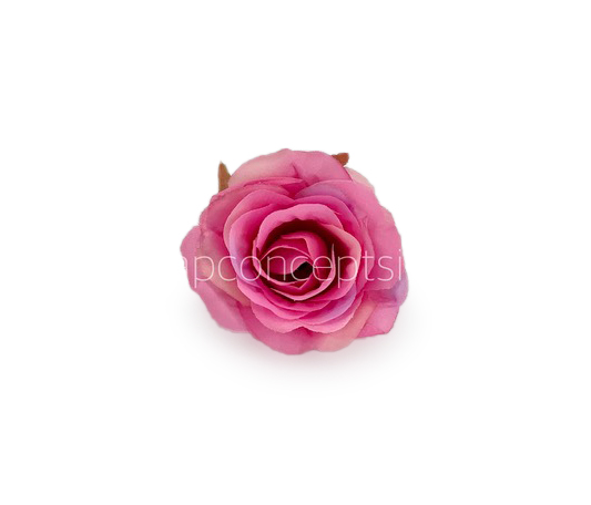 Rose - Pink with hints of Lilac