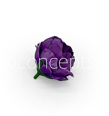 Purple & Violet Shaded Peonies Purple & Violet Shaded Peonies