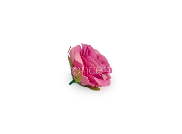 Rose - Pink with hints of Lilac