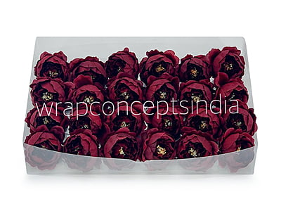 Maroon Peonies