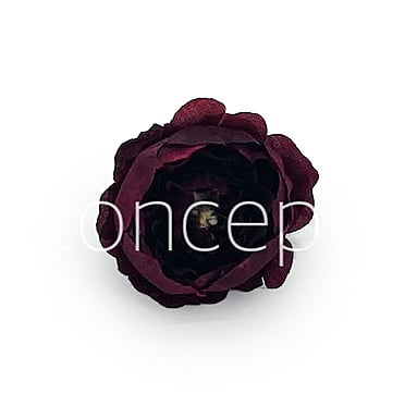 Maroon Peonies Maroon Peonies