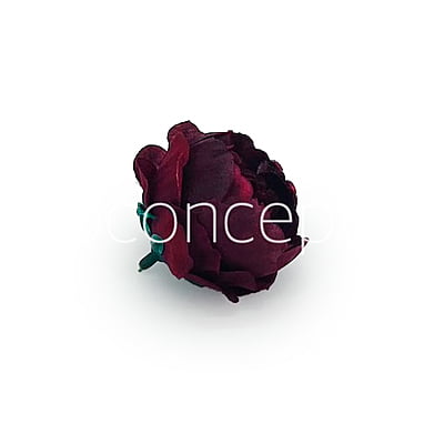 Maroon Peonies Maroon Peonies