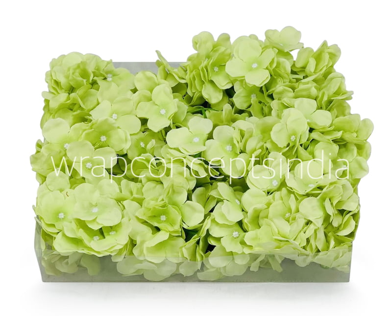 Lime Hydrangeas Lime Hydrangeas