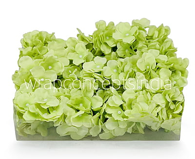 Lime Hydrangeas Lime Hydrangeas