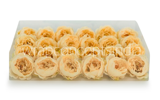 Cream Yellow Peonies Cream Yellow Peonies