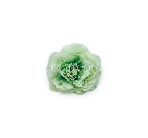 Tea Green Moutan Peony Tea Green Moutan Peony