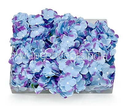 Maya Blue Hydrangeas Maya Blue Hydrangeas
