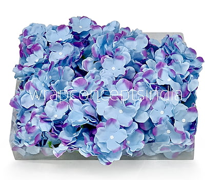 Maya Blue Hydrangeas