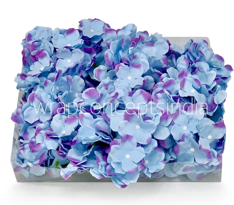 Maya Blue Hydrangeas Maya Blue Hydrangeas