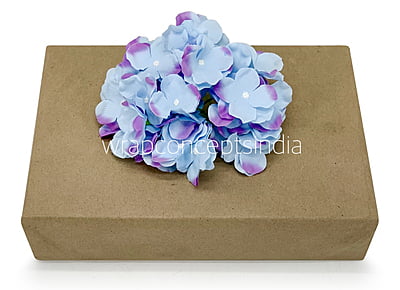 Maya Blue Hydrangeas Maya Blue Hydrangeas