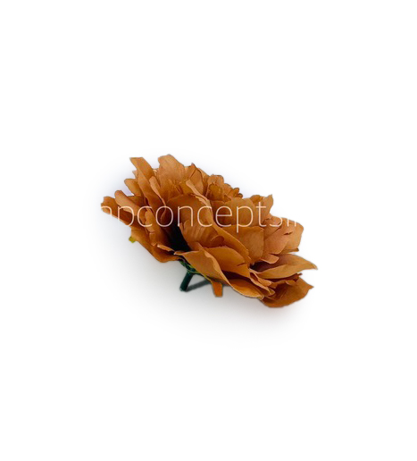 Cherry Wood Moutan Peony Cherry Wood Moutan Peony