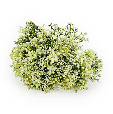 Gypsy Floret Bunch