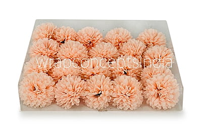 Carnation - Peach