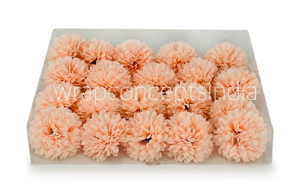 Carnation - Peach