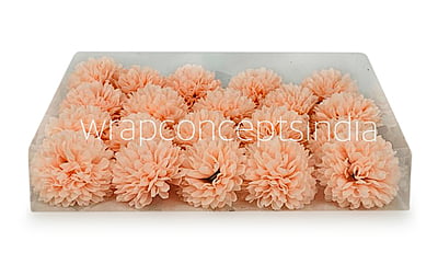 Carnation - Peach