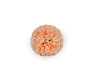 Carnation - Peach