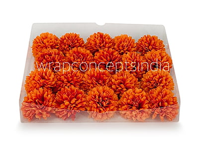 Carnation - Orange