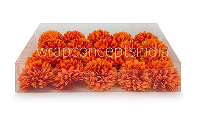 Carnation - Orange