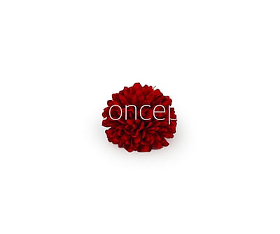Carnation - Deep Red