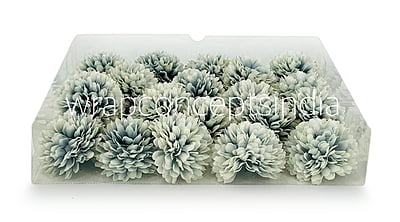Carnation - Blue & White