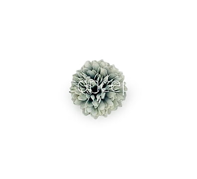 Carnation - Blue & White