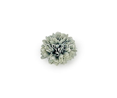 Carnation - Blue & White
