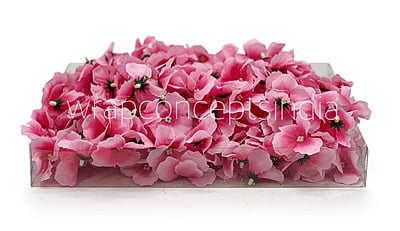 Pink Hydrangea Flowers Pink Hydrangea Flowers