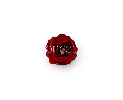 Red Peonies