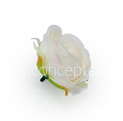 Camellia Flower - Ivory with hints of Pink Camellia Flower - Ivory with hints of Pink