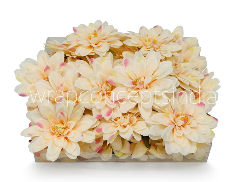 Butter Cream with hints of Pink Dahlias Butter Cream with hints of Pink Dahlias