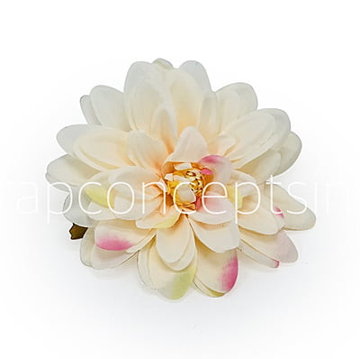 Butter Cream with hints of Pink Dahlias Butter Cream with hints of Pink Dahlias