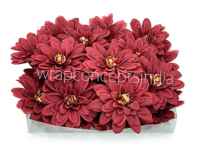 Berry Dahlias