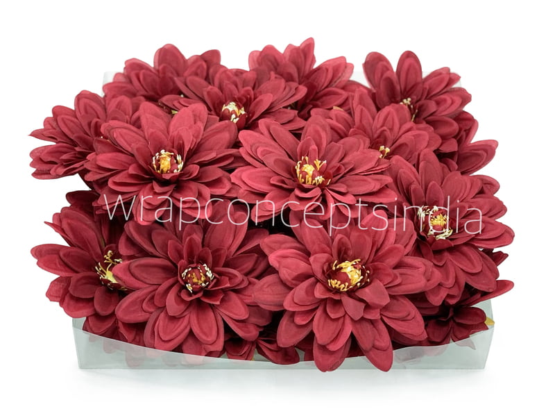 Berry Dahlias Berry Dahlias