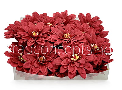 Berry Dahlias Berry Dahlias