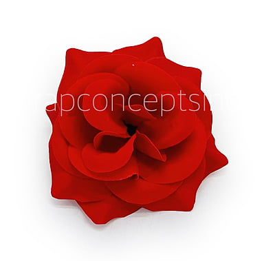 Red Velvet Rose Red Velvet Rose