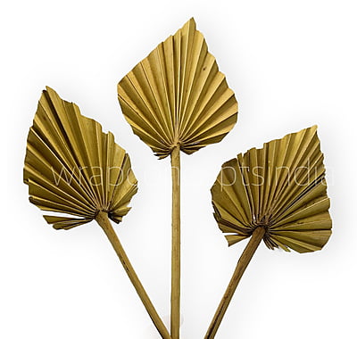 Olive Palm Spear - Big/Small Olive Palm Spear - Big/Small