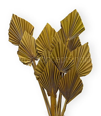 Olive Palm Spear - Big/Small