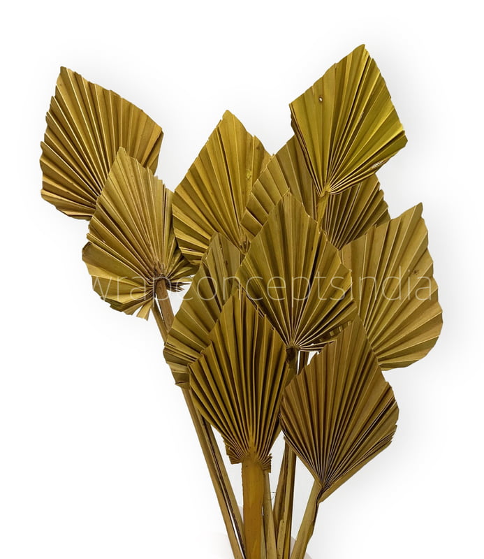 Olive Palm Spear - Big/Small Olive Palm Spear - Big/Small