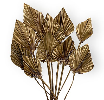 Gold Palm Spear - Big/Small