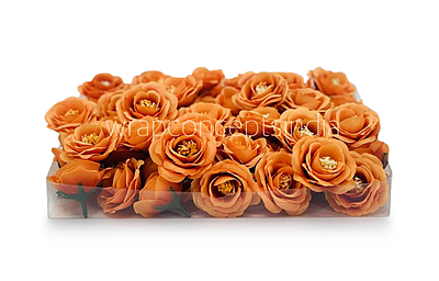 Tangerine Rose Flower Tangerine Rose Flower