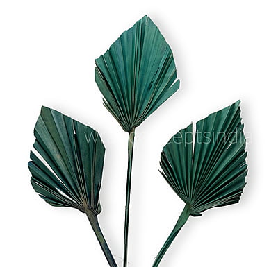 Teal Palm Spear - Big/Small Teal Palm Spear - Big/Small