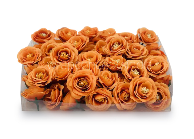 Tangerine Rose Flower Tangerine Rose Flower