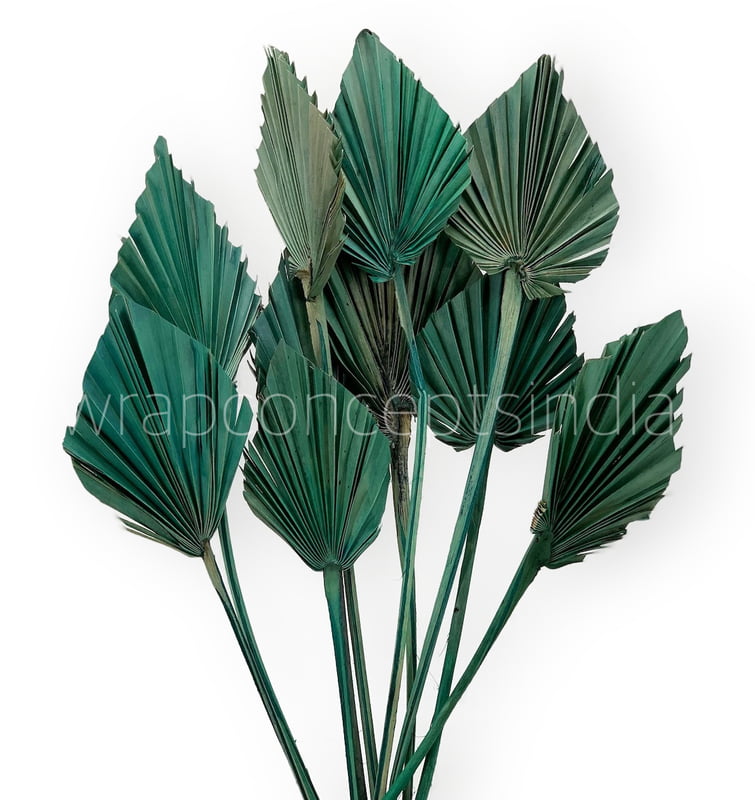 Teal Palm Spear - Big/Small Teal Palm Spear - Big/Small