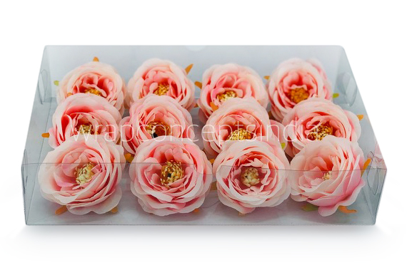 Camellia Flower - Peach with Pink Camellia Flower - Peach with Pink