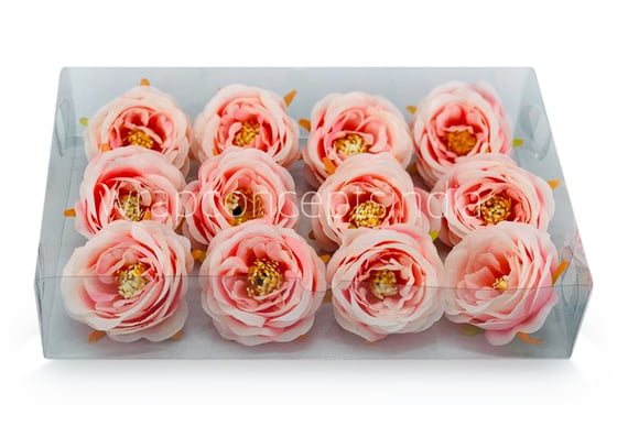 Camellia Flower - Peach with Pink Camellia Flower - Peach with Pink