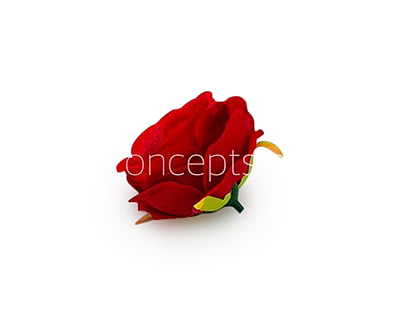 Camellia Flower - Red