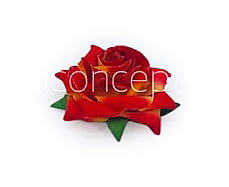Rose With Leaves - Burnt Orange Rose With Leaves - Burnt Orange